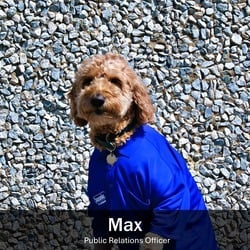 Max