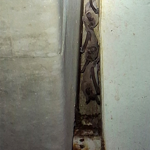 Fort Worth Pest & Termite — Image 1