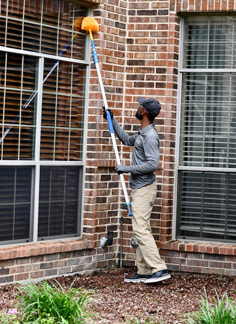 Home Run Pest & Termite Control — Image 2