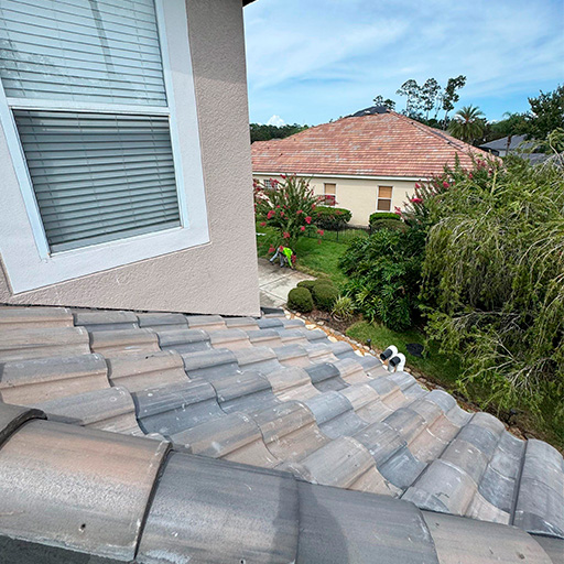 Panther Roof — Image 4