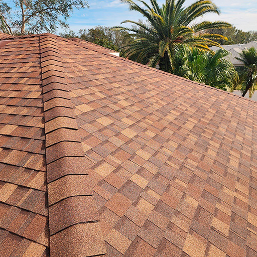 Panther Roof — Image 6