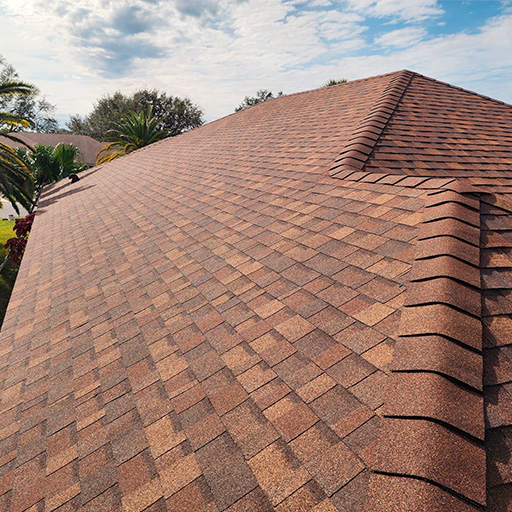 Panther Roof — Image 5