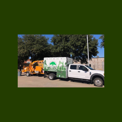 Plano Tree Care — Image 5