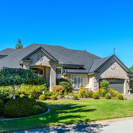 Trees Hurt Too Inc. — Image 2