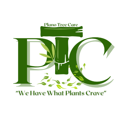Plano Tree Care