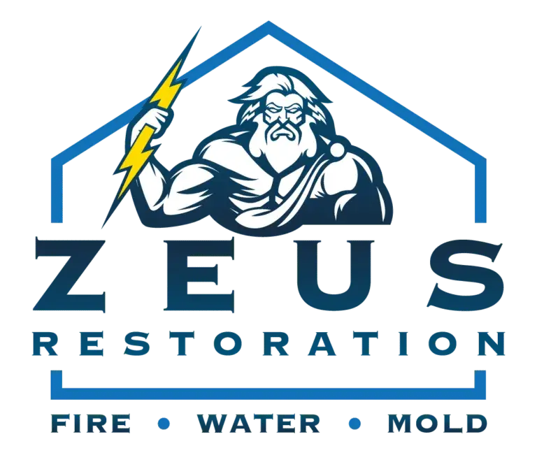 Zeus Restoration